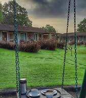 Asiatic Lion Lodge