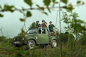 Asiatic Lion Lodge