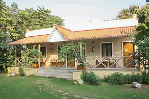 Asiatic Lion Lodge