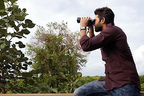 Asiatic Lion Lodge