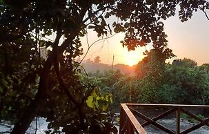 Asiatic Lion Lodge