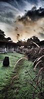 Asiatic Lion Lodge
