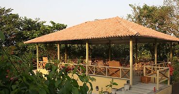 Asiatic Lion Lodge