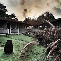 Asiatic Lion Lodge