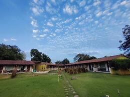 Asiatic Lion Lodge