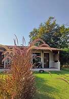Asiatic Lion Lodge