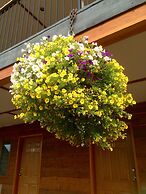 Cariboo Lodge