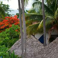Azul Surf Club