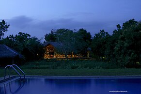 The Yala Adventure