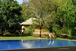 The Yala Adventure
