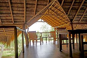 The Yala Adventure