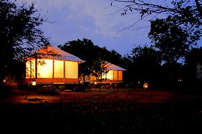 The Yala Adventure