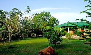 The Yala Adventure