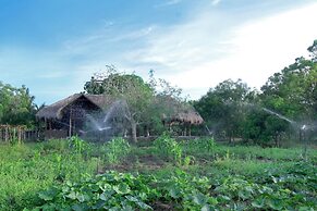 The Yala Adventure