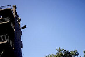 The Yala Adventure