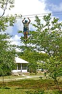 The Yala Adventure