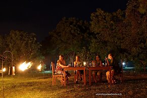 The Yala Adventure