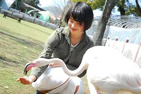 ASO Farm Land