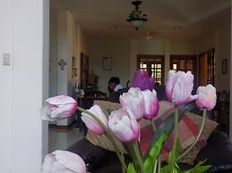 Hotel Los Pinos