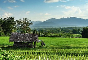 PuraVida Pai Resort