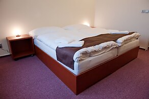 Hotel Vír