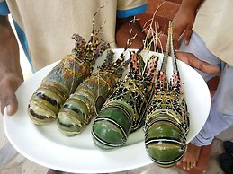 Wellé Wadiya