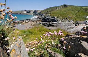 The Port William