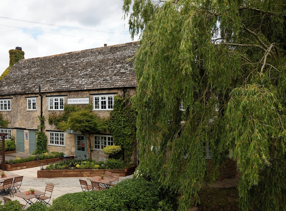 The Rose Revived By Chef and Brewer Collection