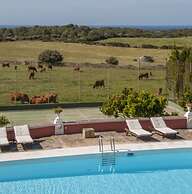 Agroturismo Son Triay