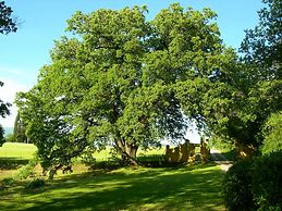 Bella di Ceciliano