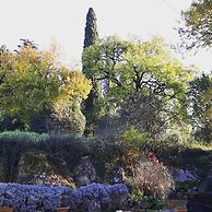 Bella di Ceciliano