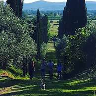 Bella di Ceciliano