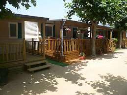 Camping El Camell