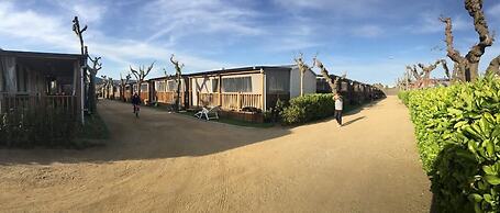 Camping El Camell