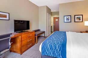 Comfort Inn & Suites Lynchburg Airport - University Area