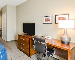 Comfort Inn & Suites Lynchburg Airport - University Area