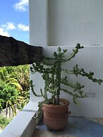 Mi Casa en Cozumel