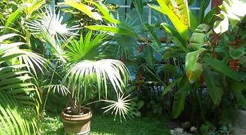 Elements of the Island