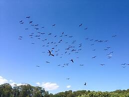 House of the Macaws