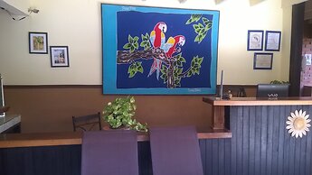 House of the Macaws