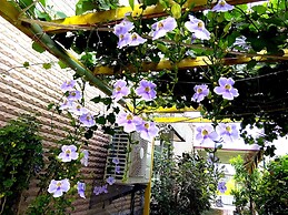 Evergreen Garden Home