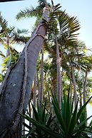 Sapphire Palms Motel