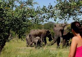 Baobab Ridge Private Lodge