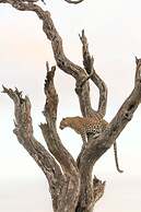 Baobab Ridge Private Lodge
