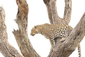 Baobab Ridge Private Lodge
