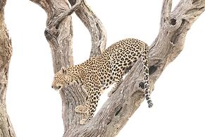 Baobab Ridge Private Lodge