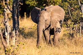 Baobab Ridge Private Lodge