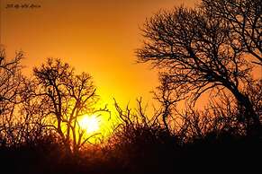 Baobab Ridge Private Lodge