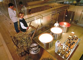 Hotel Pinzger