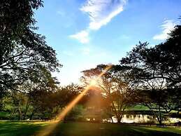 Sabi River Sun
